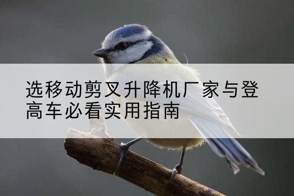 丹东电动升降机厂家-选移动剪叉升降机厂家与登高车必看实用指南