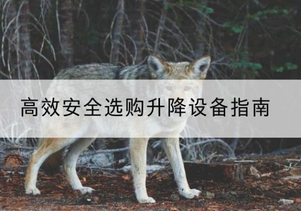丹东升降货梯厂家推荐-*安全选购升降设备指南